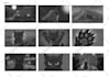 be your professional storyboard artist for feature films, TV and animation works