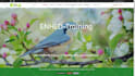 develop wordpress theme for you