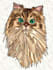 make cute pets illustrations,caricature