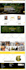 design or redesign wix website