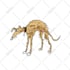 draw your pet into vector art illustration