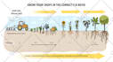create a hand drawn doodle illustration