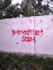 make real graffiti and characters on the wall