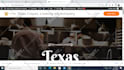 build professional wordpress website