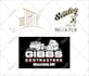convert image to vector, redraw logo professionally