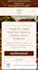do shopify theme customization, shopify developer for custom coding and bug fix