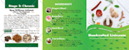 do professional tri fold brochure, flyer, catalog design