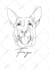 draw a minimalist pet remembrance line art from photo