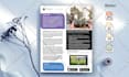 do professional business flyer and brochure design
