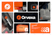 design a professional logo, brand book, and corporate brand identity guidelines
