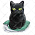 draw cute chibi cartoon portraits of your pet
