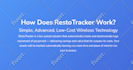 fix wordpress errors, wordpress issues or responsive task