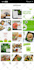 optimize and set up crazy converting facebook and insta ads
