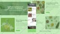 build design or redesign wordpress website development as a wordpress developer