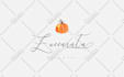 create a stunning hand drawn signature logo