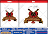 do manual vector tracing , convert image to vector , svg design