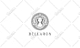 design a professional business logo with full copyrights