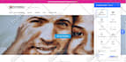setup or install userway web accessibility toolbar for ada