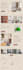 build squarespace website, design or redesign squarespace website development