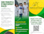 professionally design your brochure
