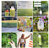 create content and manage your instagram