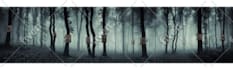 edit and retouch images creatively in photoshop