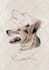 draw custom american traditional tattoo design for you