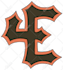 do any graphic work