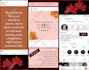 setup and optimize your facebook page or instagram profile