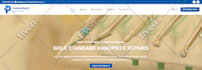 do professional wordpress website development