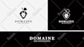 do professional logo design with complete brand guidelines