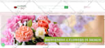 do web design and build complete wordpress website