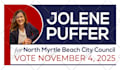 create a political logo design or campaign flyer