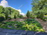 render a landscape or site plan in photoshop