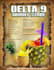 design a professional business flyer within 24hrs