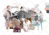 develop any mood boards with color story