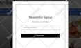 setup email newsletter system on wordpress website