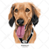 draw minimalist realistic pet vector art