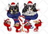 draw your christmas pet portrait