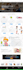 create wix website development, build wix website design
