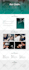 design, redesign, revamp, duplicate or ruplicate website with elementor