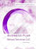 develop an investor ready business plan with a financial plan