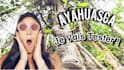 make the professional youtube, facebook, instagram thumbnail