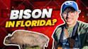 design an amazing youtube thumbnail