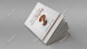 design a beautiful book cover, book design, ebook