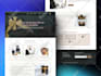 design or redesign modern wordpress business website