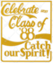 cut out images cut out background removal silo image editing