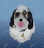 design a realistic cartoon portrait  for you