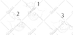 draw professional anatomy and medical illustrations
