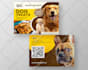 create business card design and email signature
